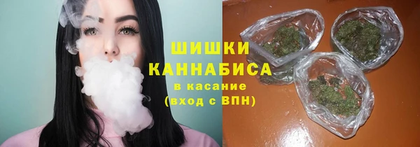 шишки Заводоуковск